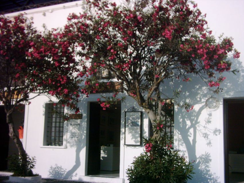 Evimi bekleyen iki sadk (aa) dost