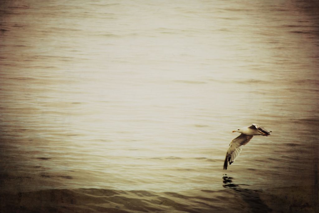 Suya yaz� yazmak.. 