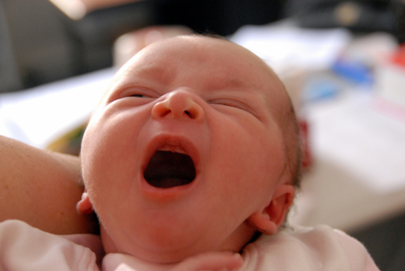 HEN�Z 1 HAFTALIK ��MAL KIZ