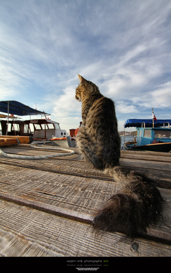 ... ::: Beklenen ::: ... 