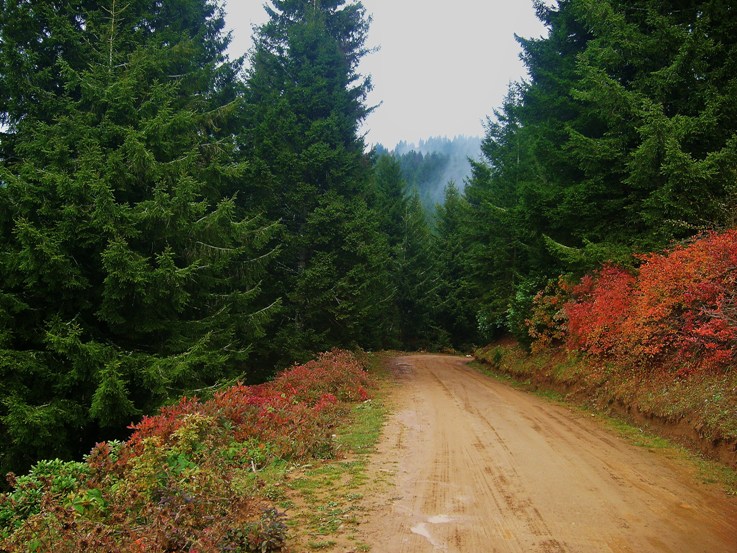 Cennete Giden Yol