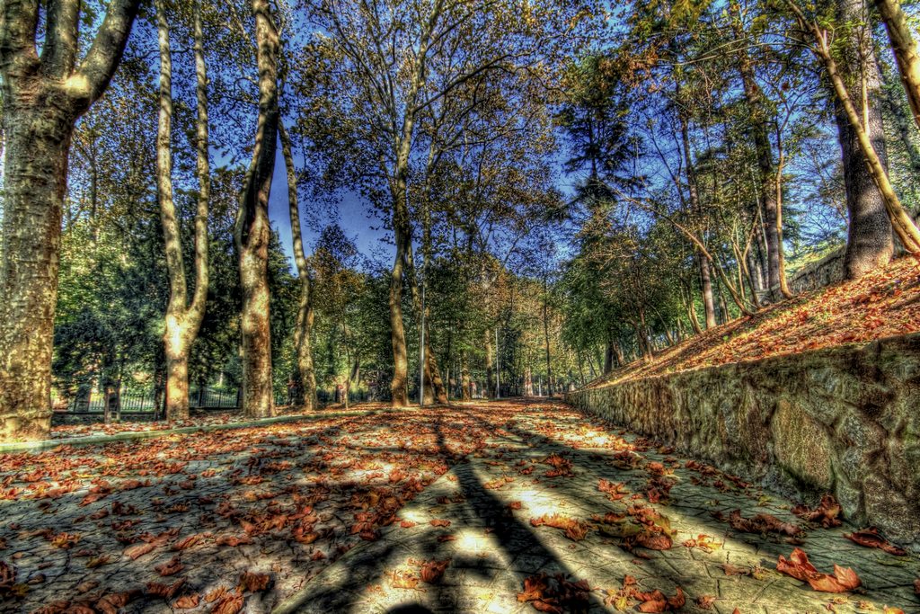 DO�A ���N �ALMI�LAR...