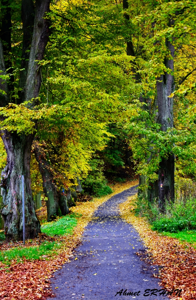 Huzur Yolu