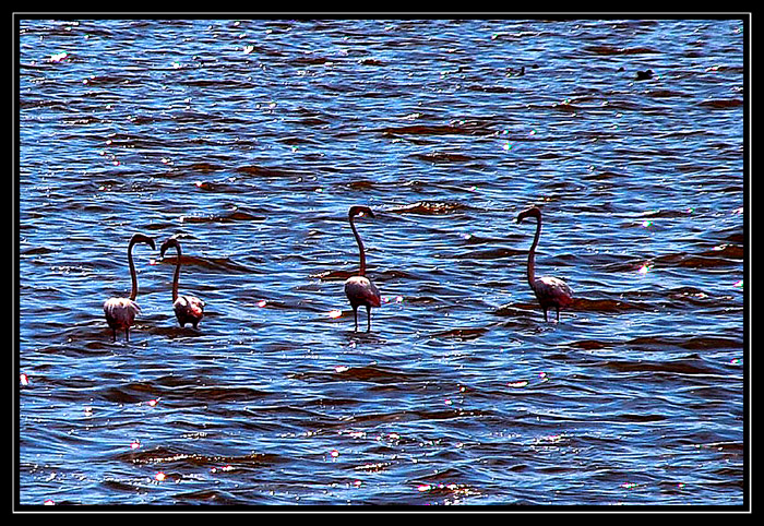 Gel bar��al�m art�k..