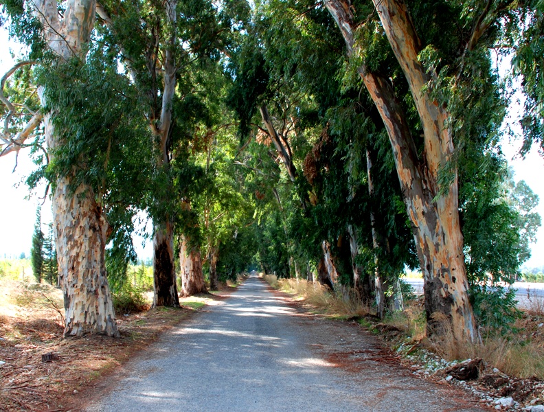 Yol hikayeleri