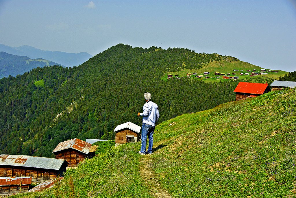 POkut yaylas