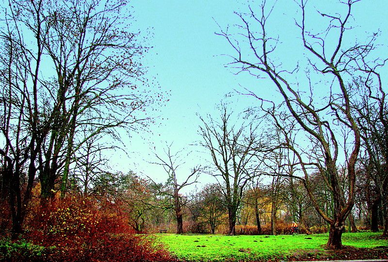 bu seride bende varim