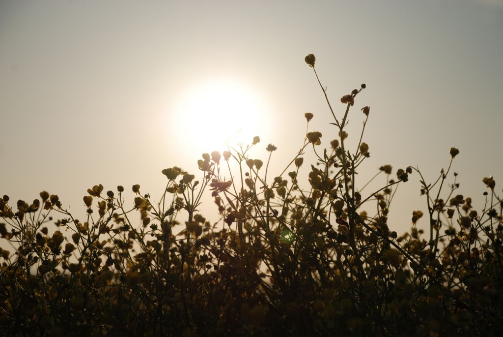 g�ne�e kar��