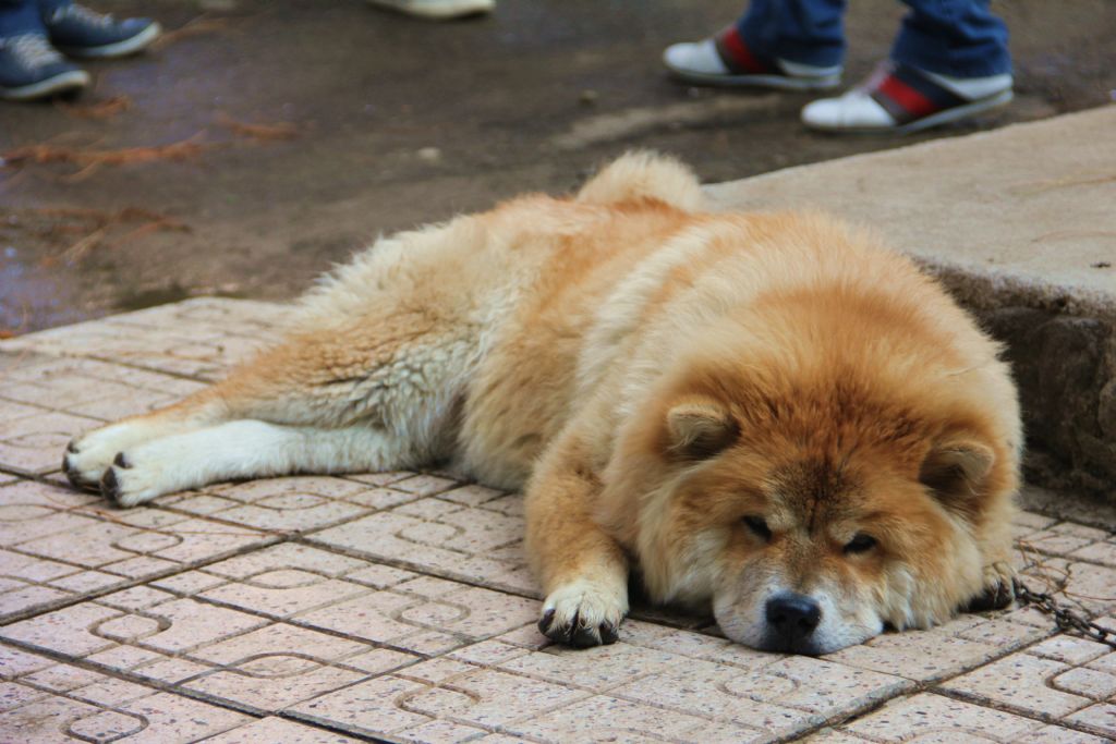 can dostlarmz iyiki varsnz