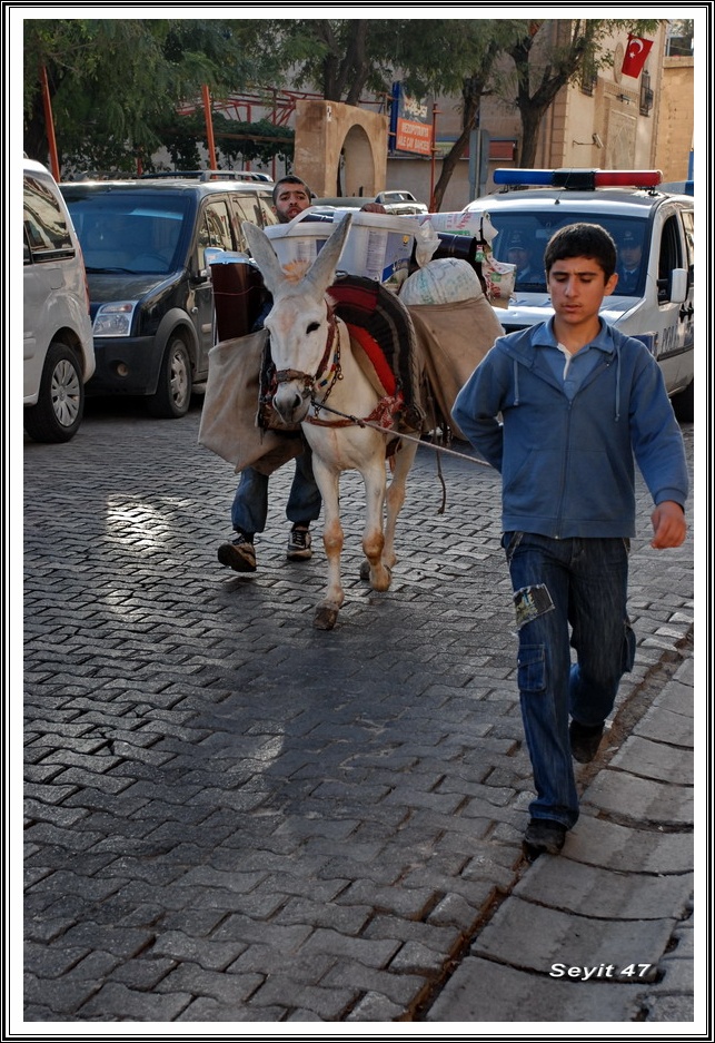 Mardin Yaamdan Kareler