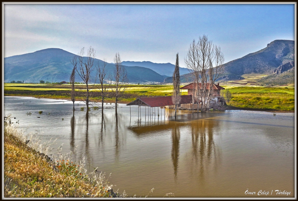 Hayaller sular altnda