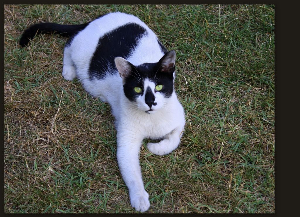 Haydi, uzat elini...