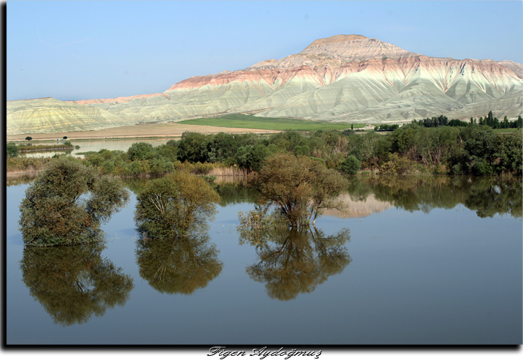 manzar(ku cenneti)