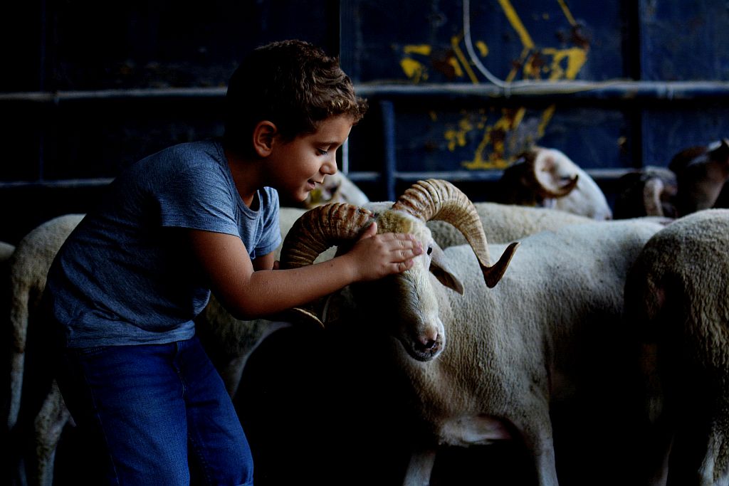 Ne kadar sevgi kokarsak, o kadar iyi !