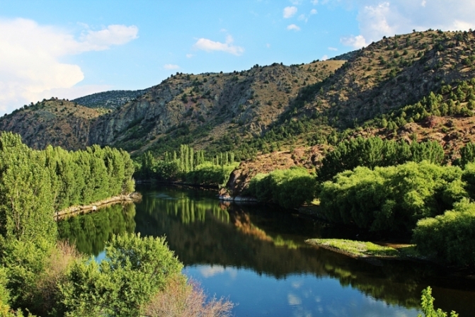 Dereye yans�yanlar