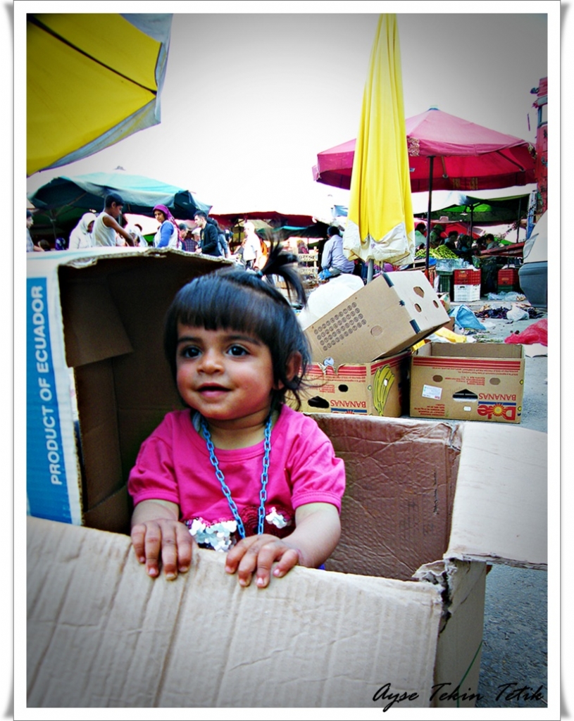 KARTONDAN  ZOR HAYATLAR !...