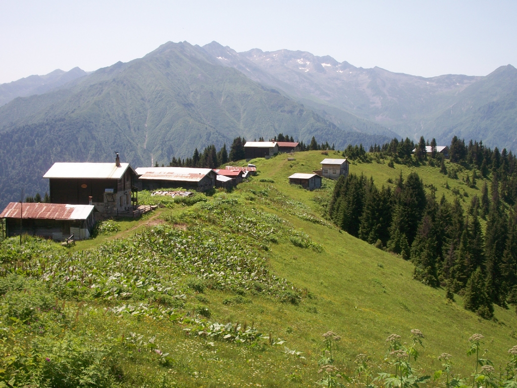 Pokut Yaylas