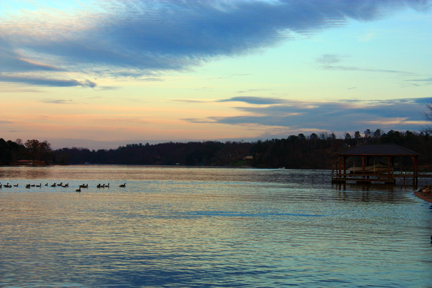 Lake Hickory and the Birds