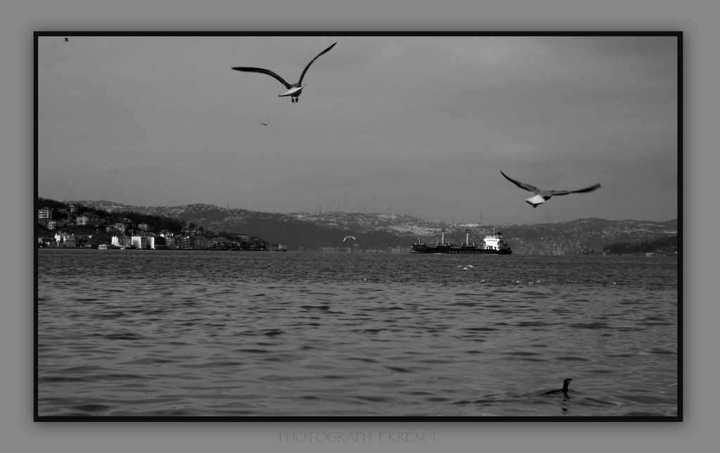 istanbul kanatlarmn altnda...