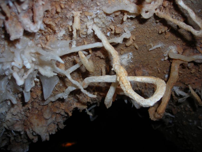 kadir durmaz TARSUSTA BULUNAN SARKIT MAGRASI