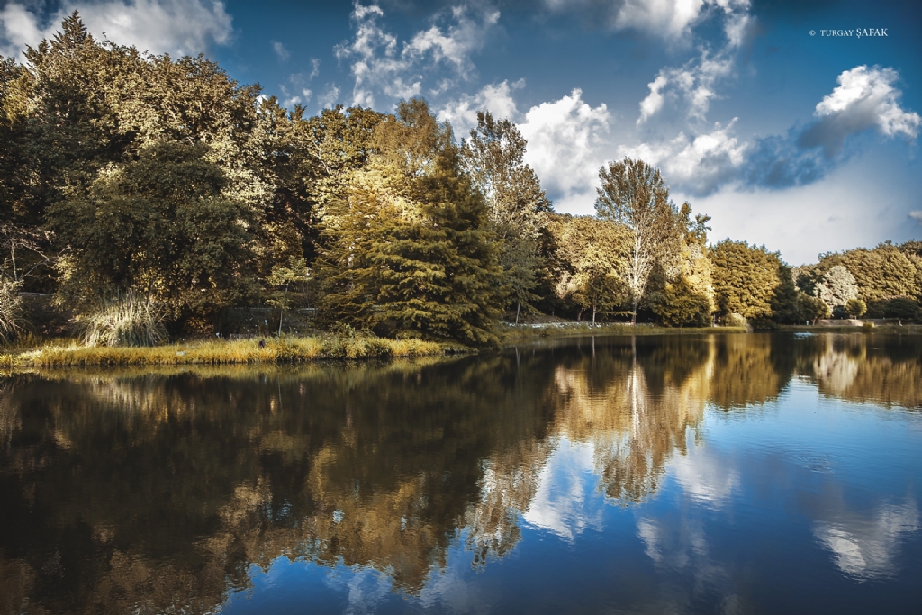 Atatrk Arboretum