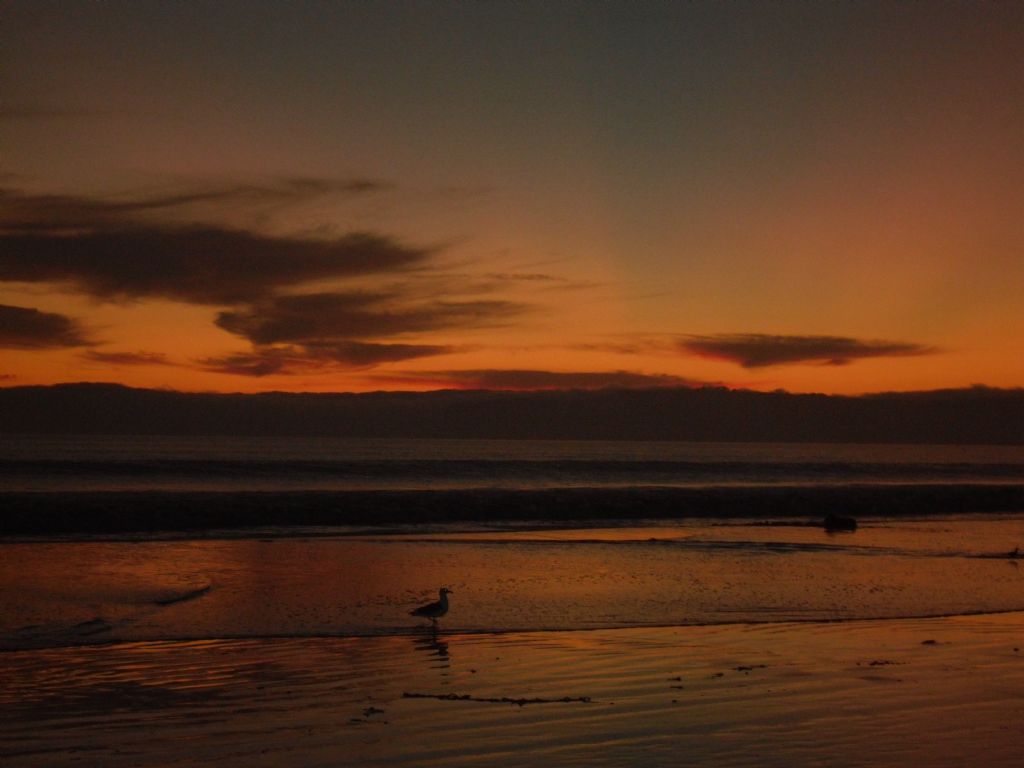 g�nbat�m�nda yanl�zl�k