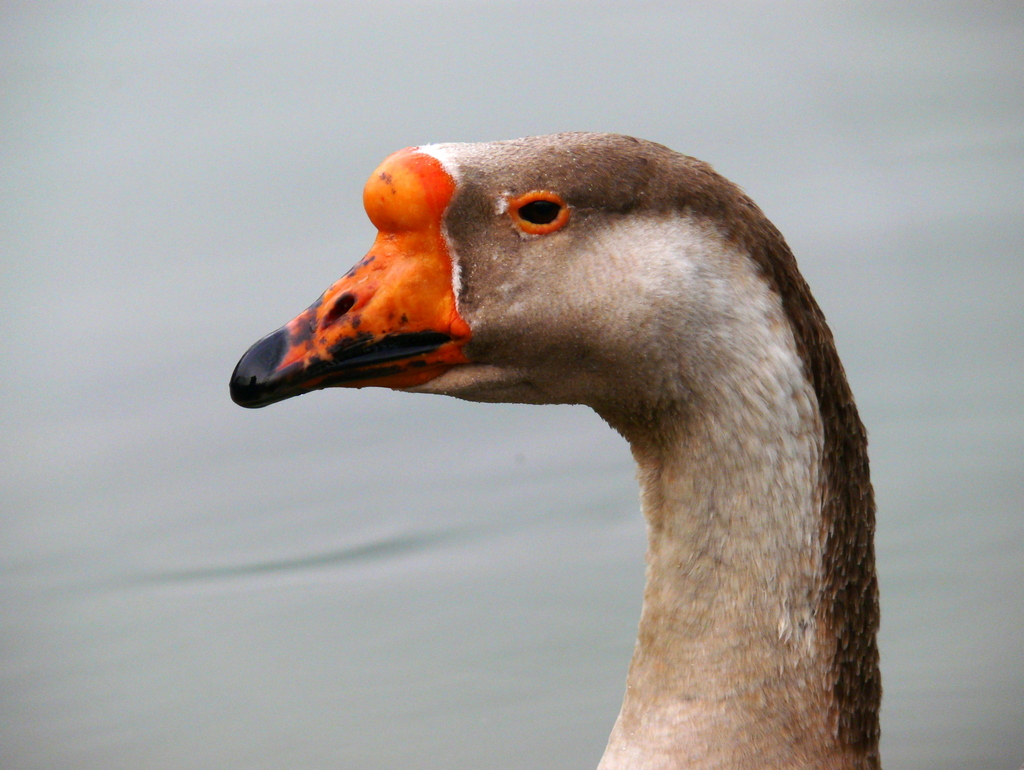 zmir Doal Yaam Park