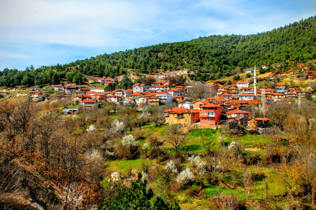 Bursa/Orhaneli topuk ky