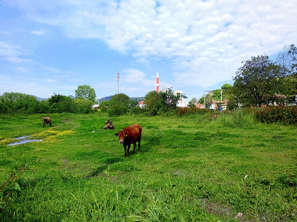 ekmek vereni doyurmak lazim...