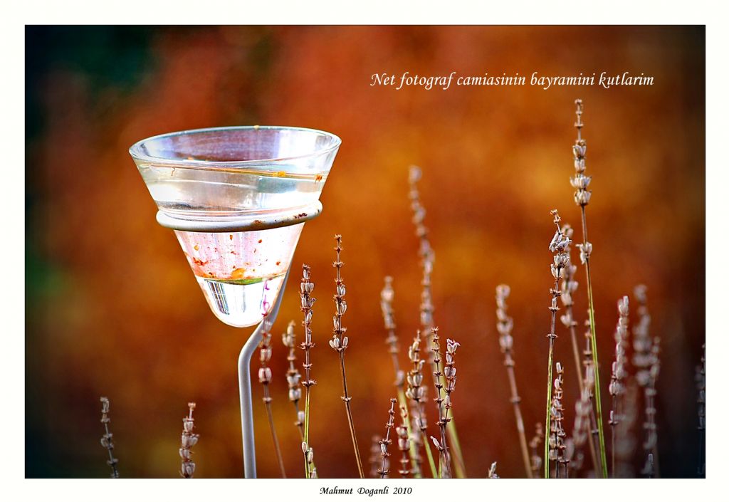 Bayramiz kutlu olsun