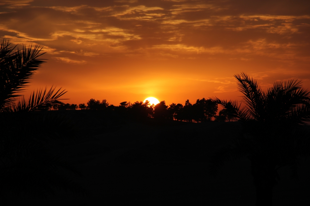 adana da g�nbat�m�