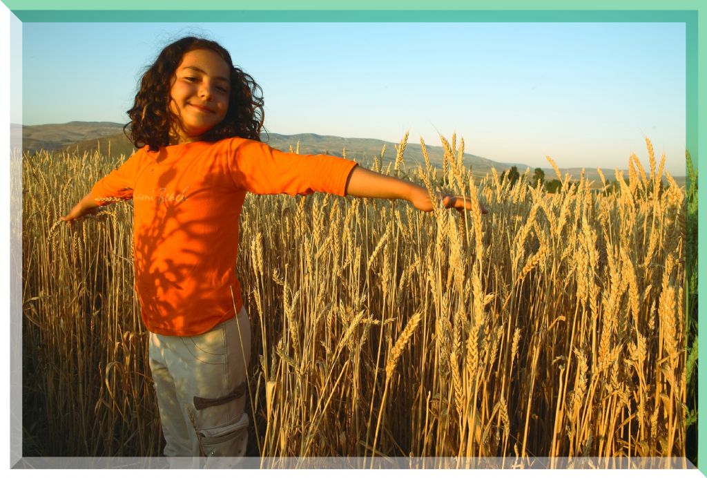 Ba�aklar� ge�tim