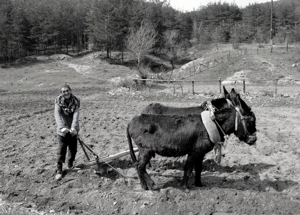 Rodoplarda Tar�m - 2