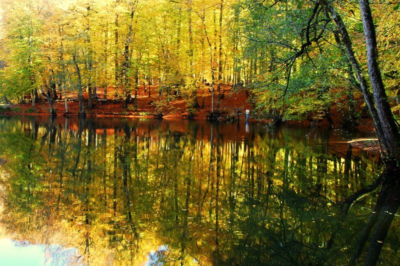 yedigller ve yansmalar