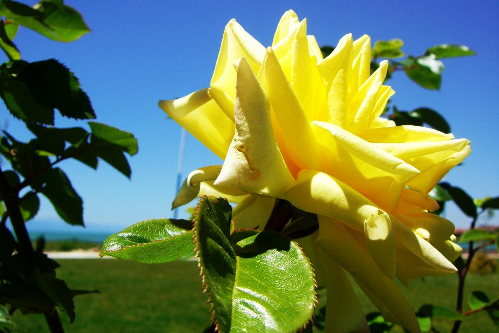 Beyehir'de parkn sar gl..