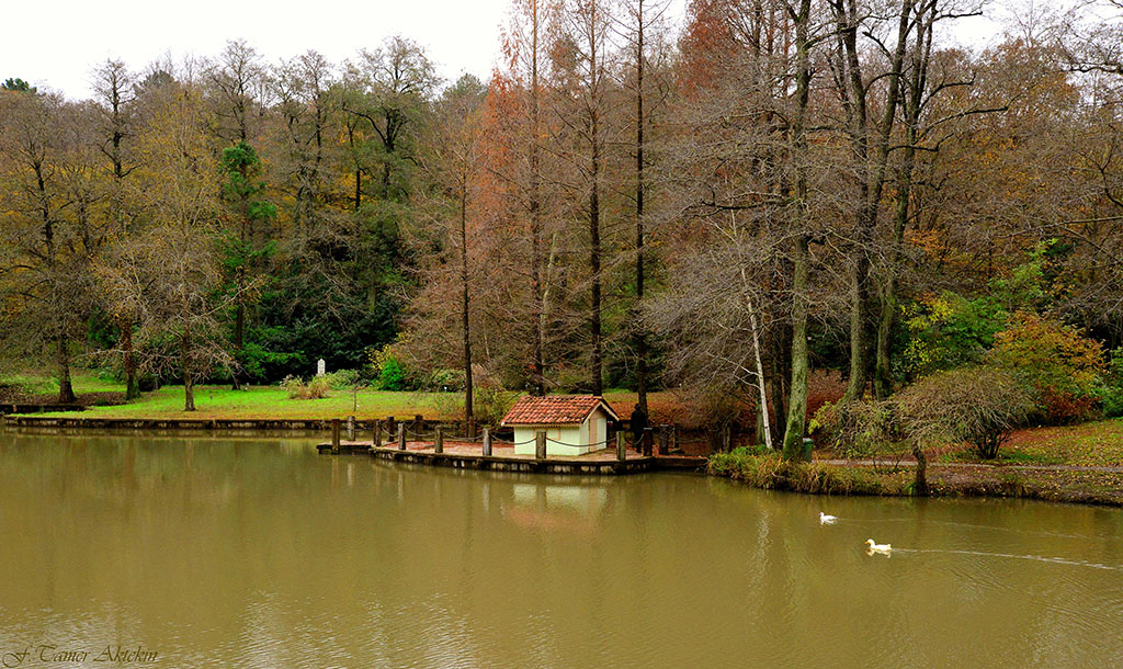 Sonbahar ve renkleri 3