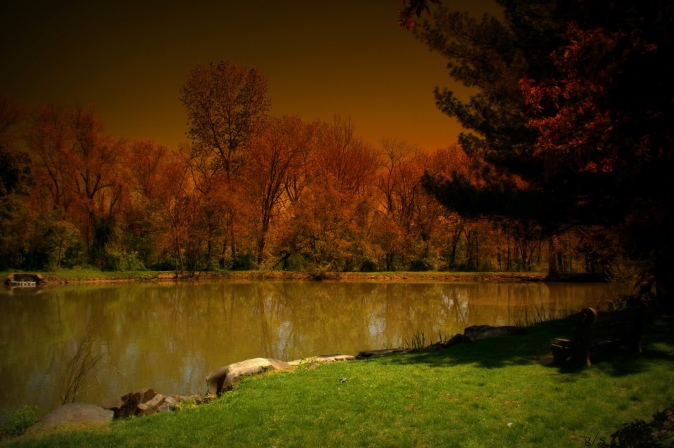 Autumn in philly lake ;)