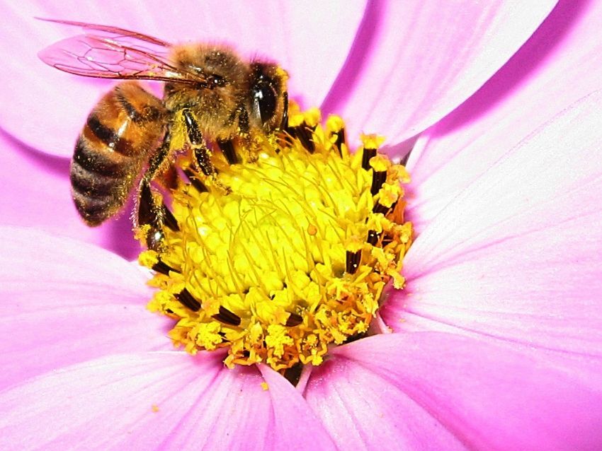 Herkes Kendi inde...