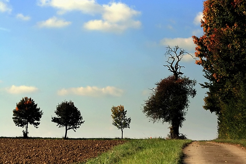 sonbaharin ilk izleri