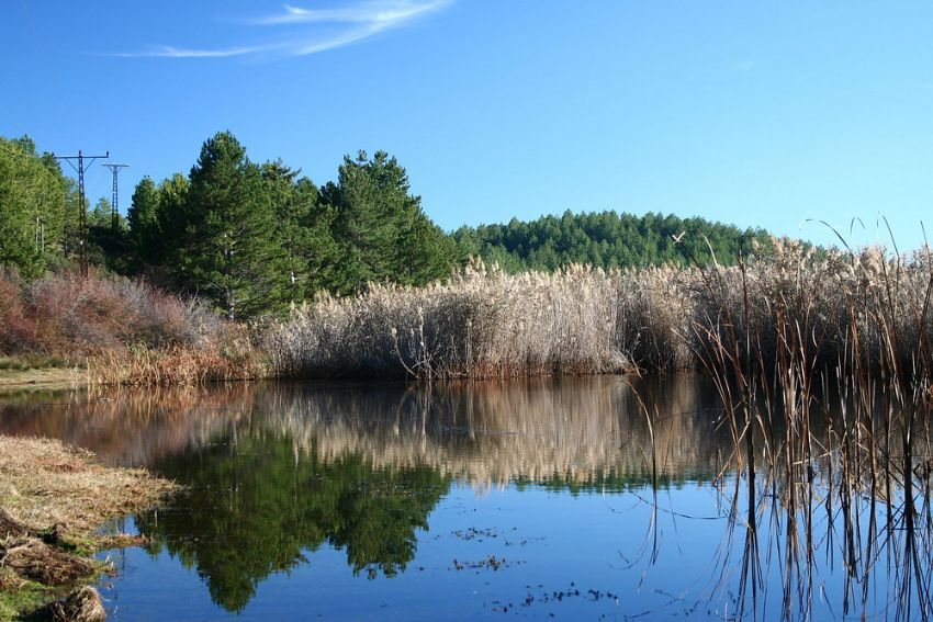 tap�yorum do�aya