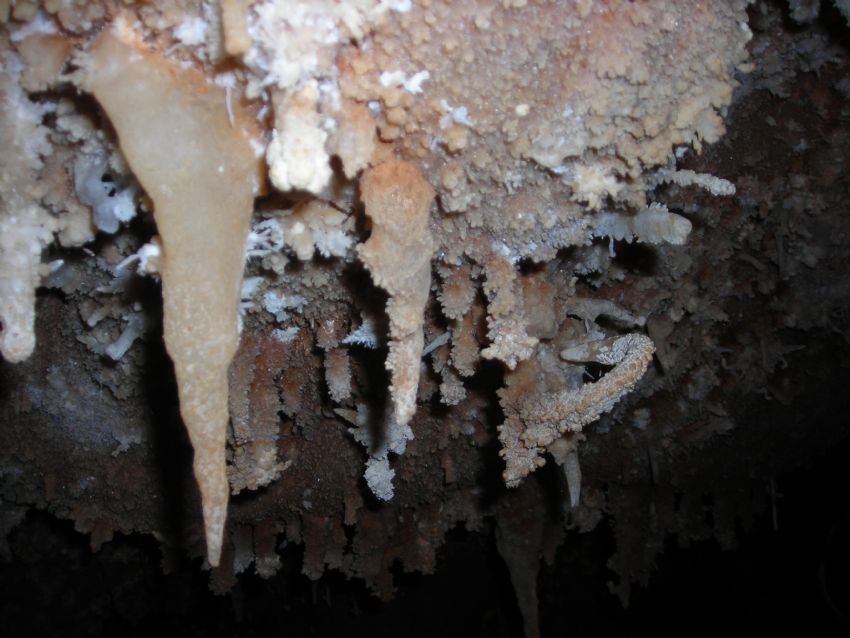 kadir durmaz tarsustan kolleksiyonum