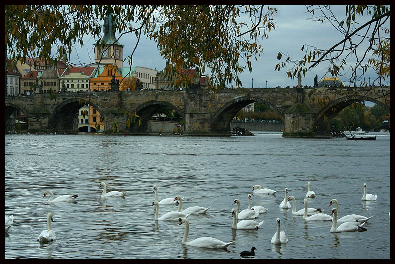 Prag