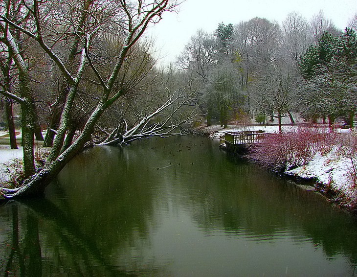 sarisin sonbahara  d�sen aklar...