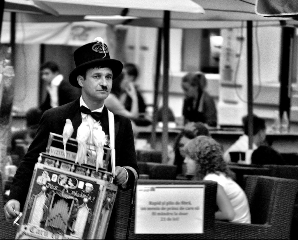 Muzik kutusuyla yasam..