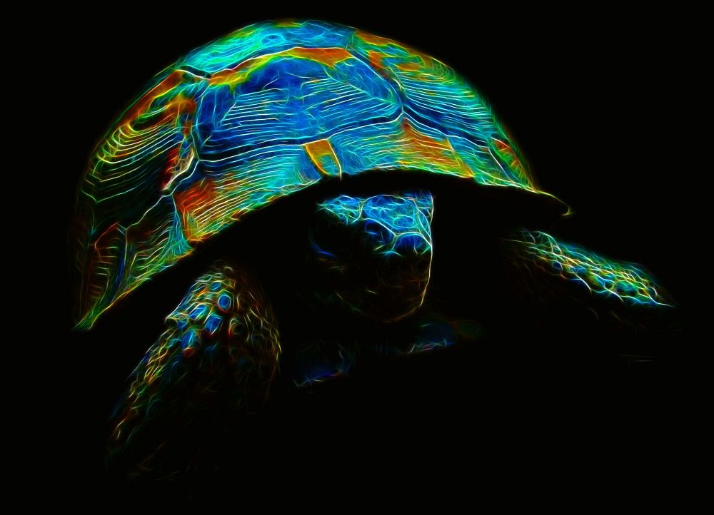 Inexpugnable Fractal Tortoise