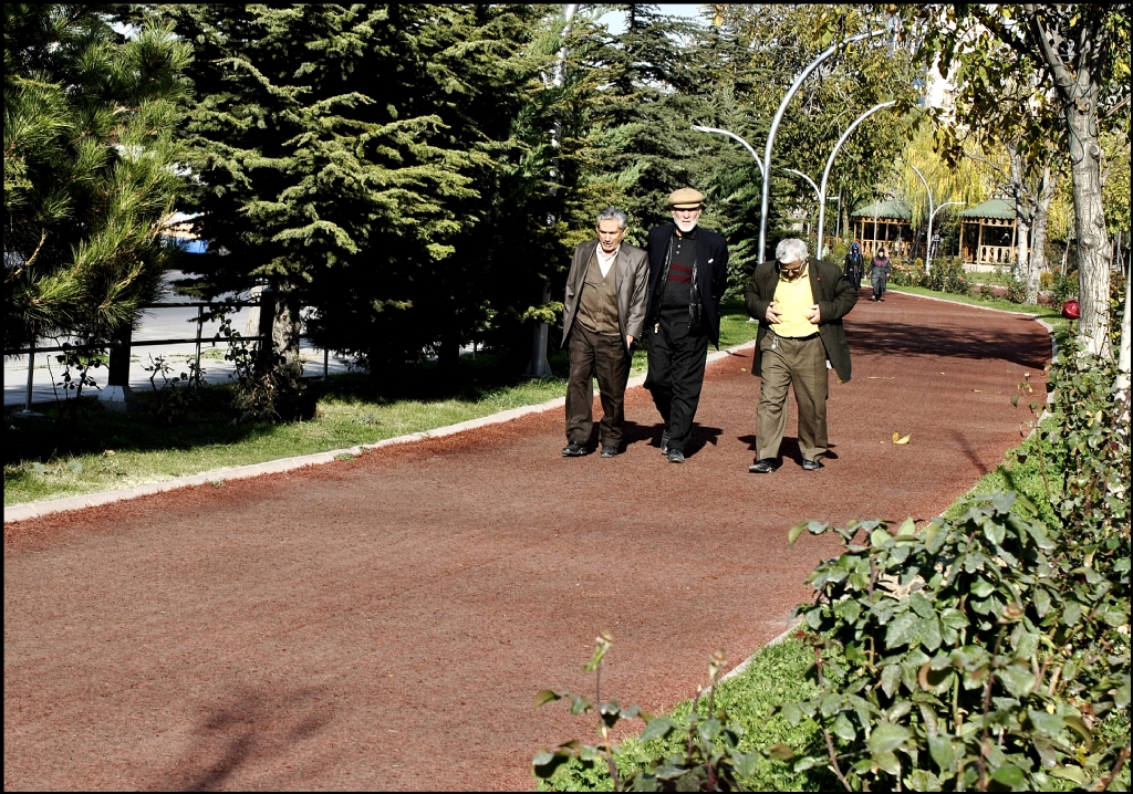 �� koca ��nar