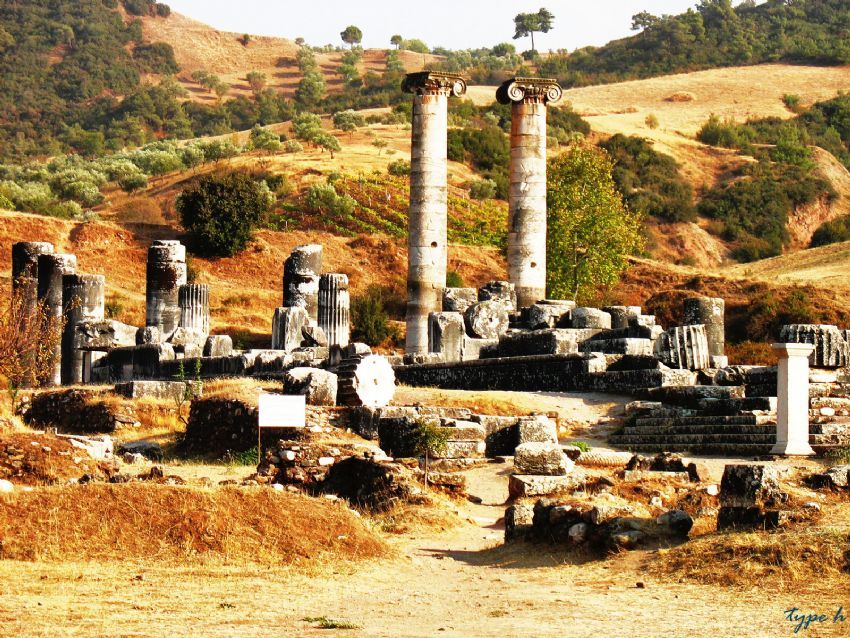 sardis artemis tapna