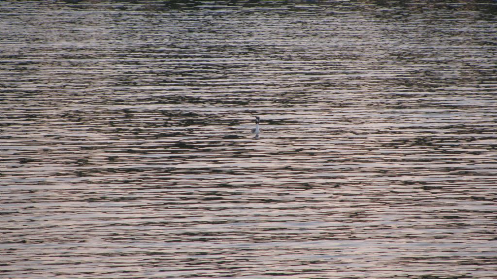 Gn batm ve Karabatak