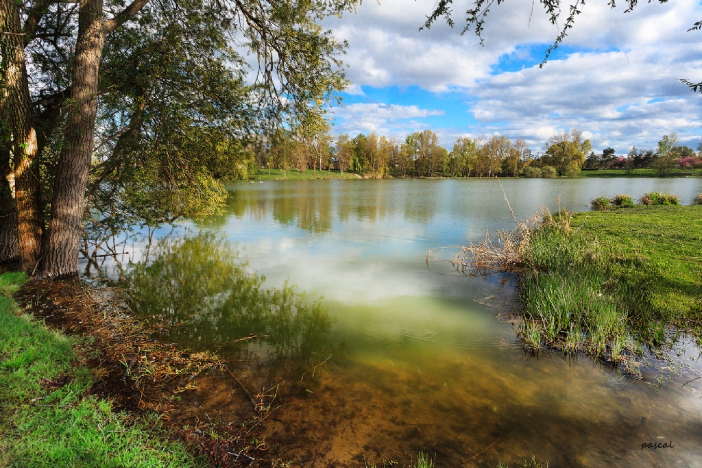 Etang / Andrzieux