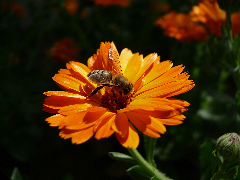 Yeni Y�l�n�z Kutlu Olsun!